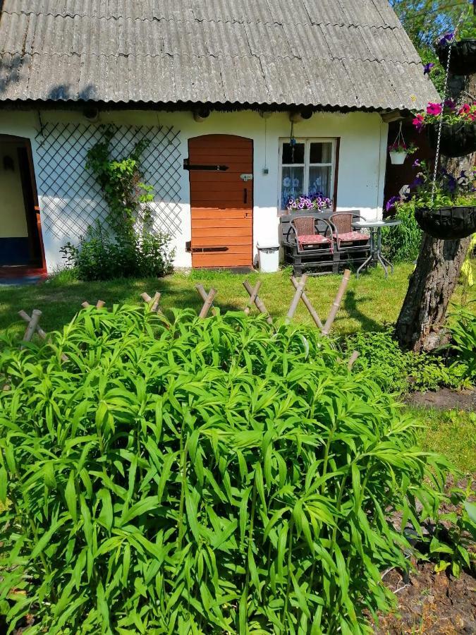 Searooms Lapmežciems Exteriör bild